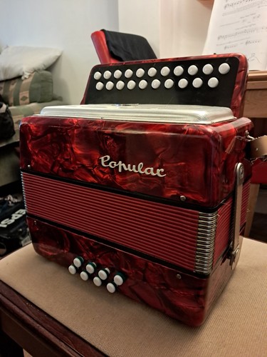 Delicia popular accordion - delicia,